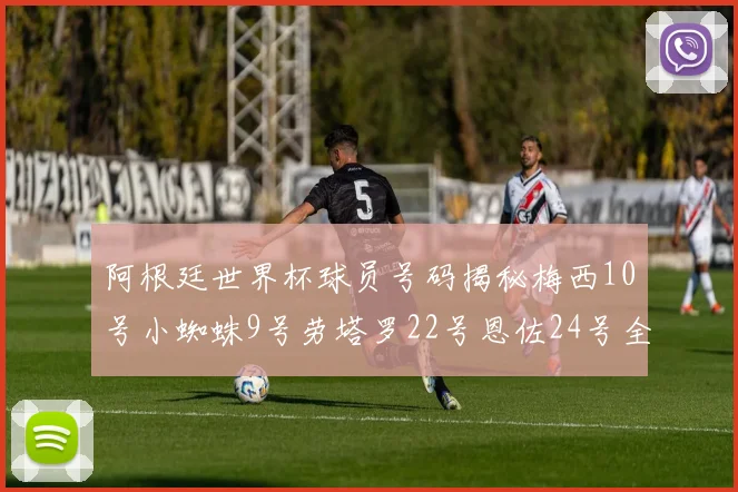 阿根廷世界杯球员号码揭秘梅西10号小蜘蛛9号劳塔罗22号恩佐24号全解析