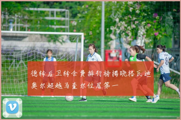 德转后卫转会费排行榜揭晓格瓦迪奥尔超越马奎尔位居第一