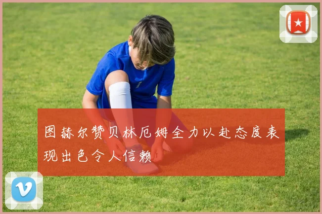 图赫尔赞贝林厄姆全力以赴态度表现出色令人信赖